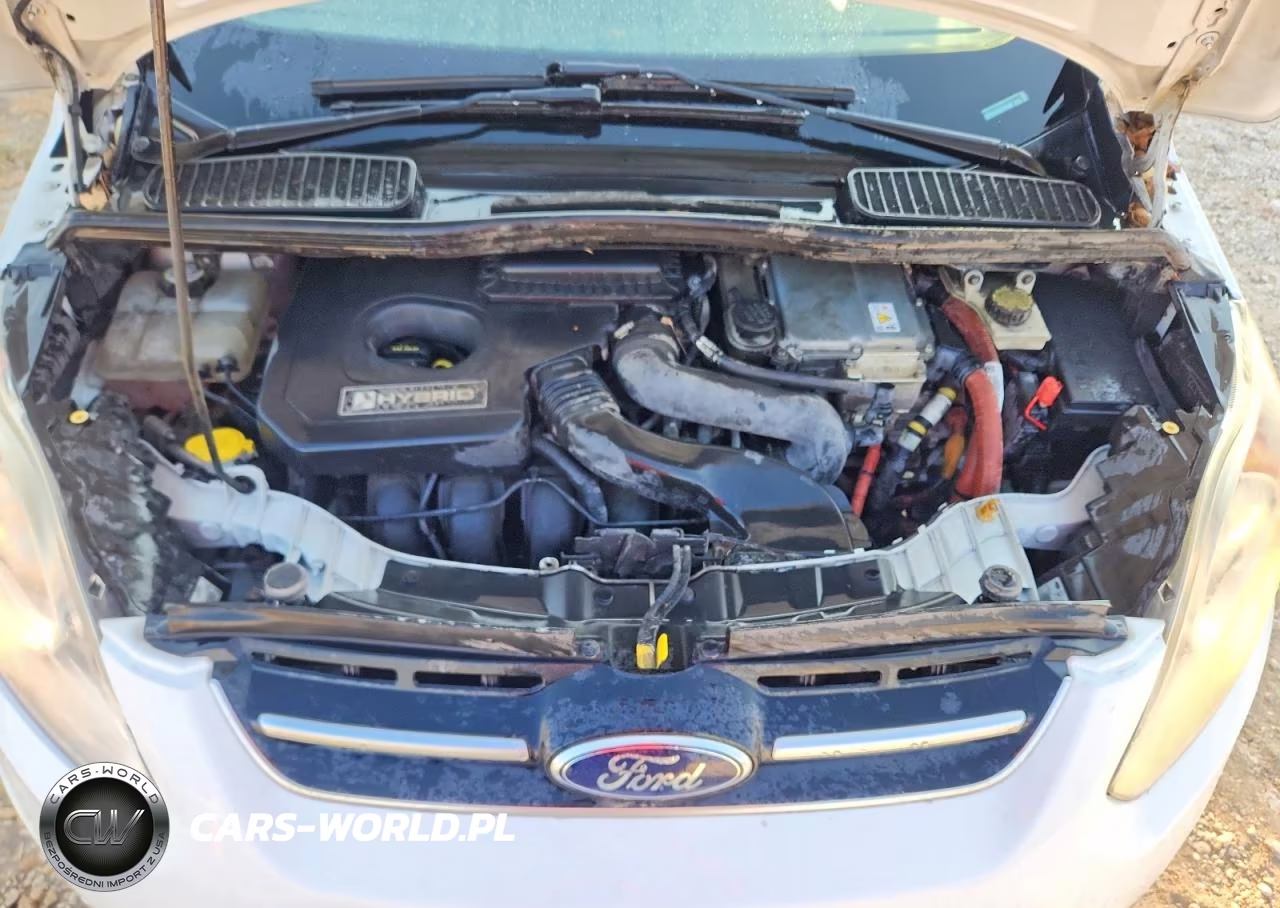 2013 Ford C-Max Se VIN:1FADP5AU9DL524480 - 11