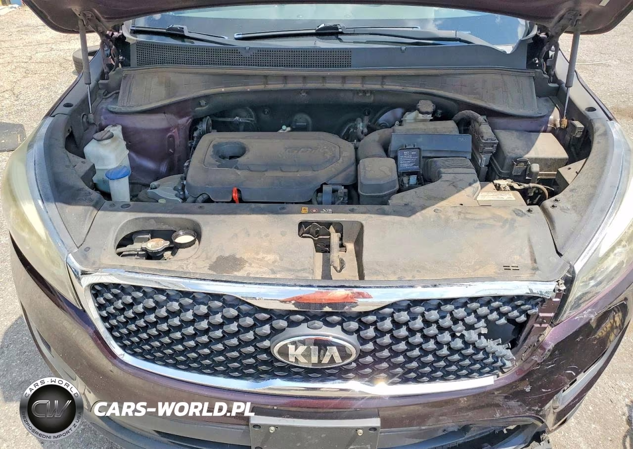 2016 Kia Sorento Lx VIN:5XYPGDA31GG043759 - 12