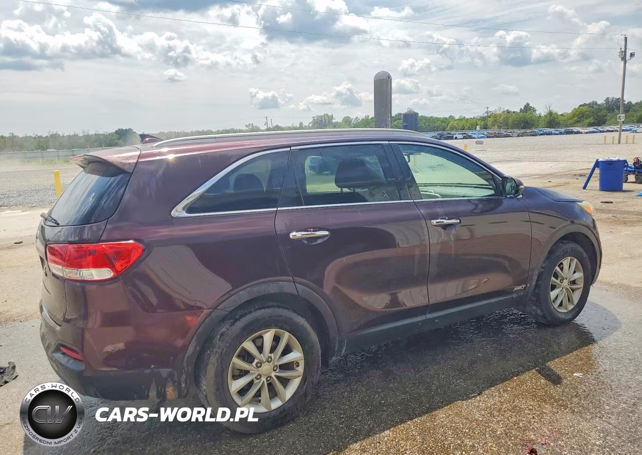 2016 Kia Sorento Lx VIN:5XYPGDA31GG043759 - 3
