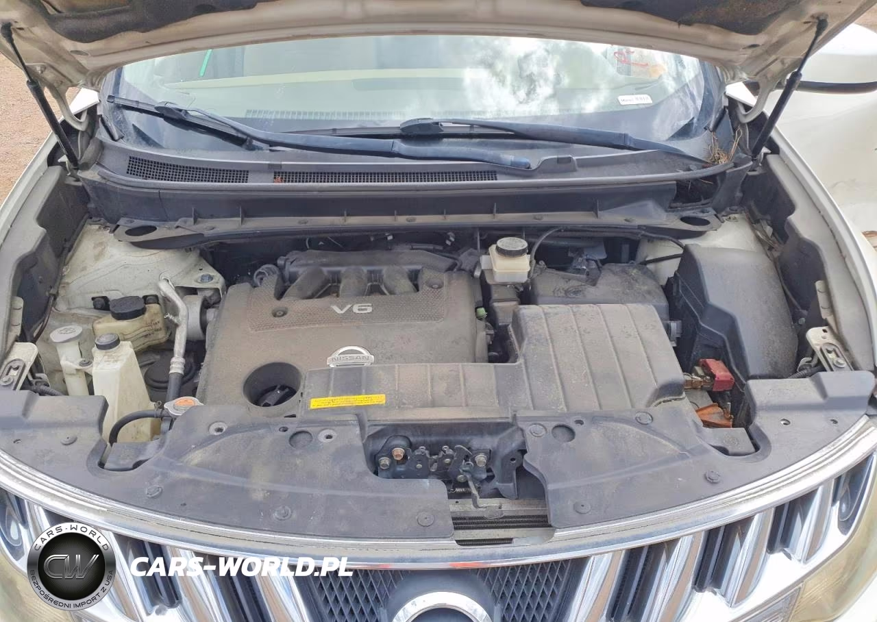 2009 Nissan Murano S VIN:JN8AZ18W99W116952 - 11