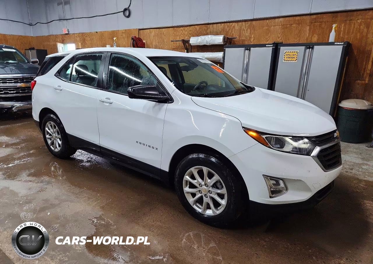 2020 Chevrolet Equinox Ls VIN:2GNAXHEV0L6225802 - 4