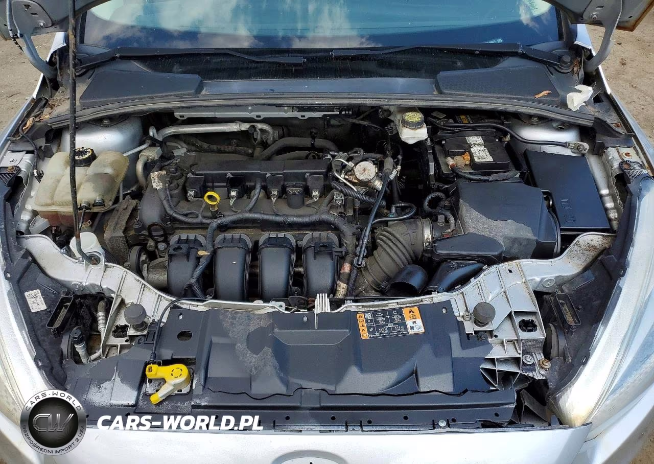2018 Ford Focus Se VIN:1FADP3F2XJL206679 - 11