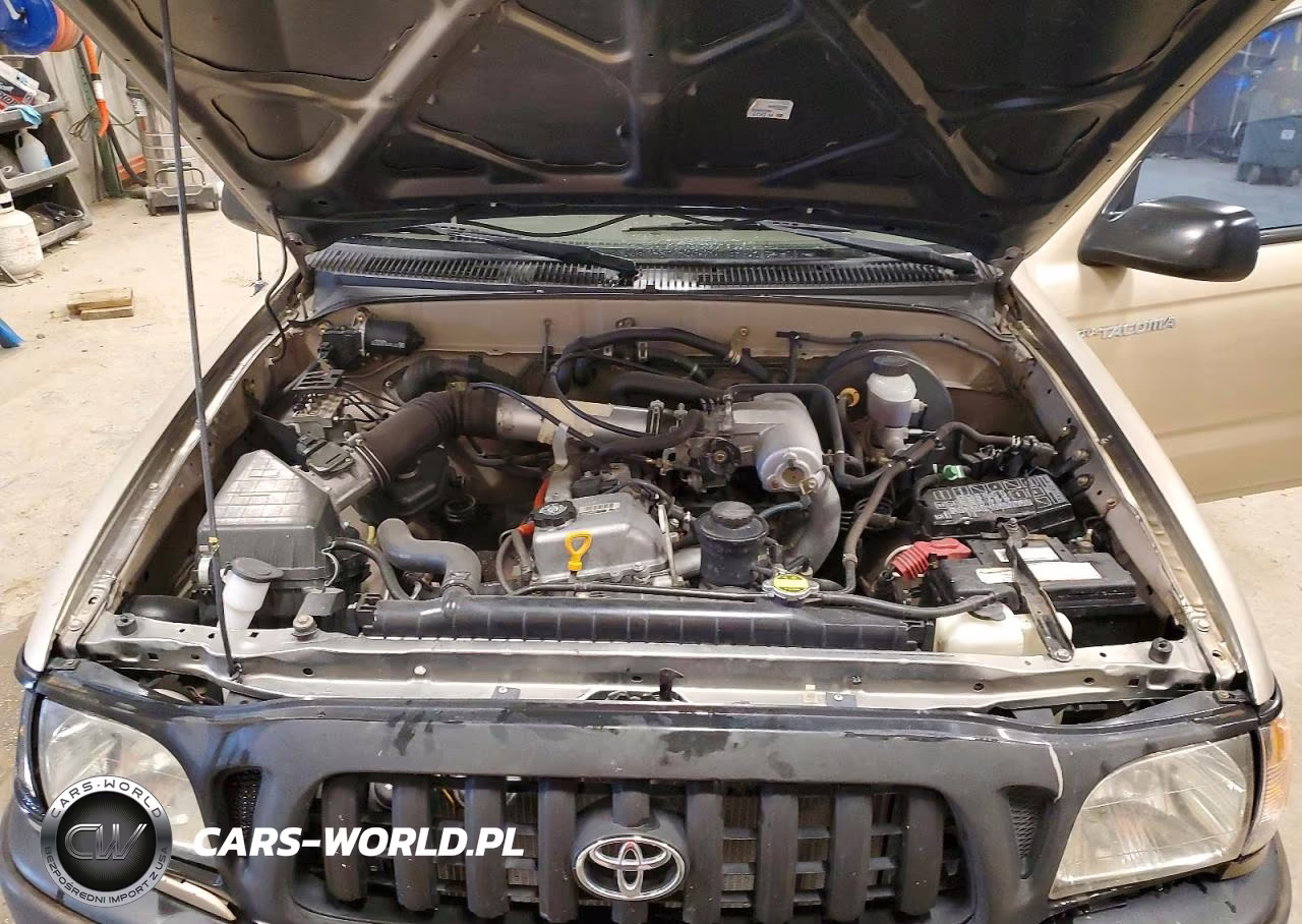 2004 Toyota Tacoma Base VIN:5TENL42NX4Z396568 - 11