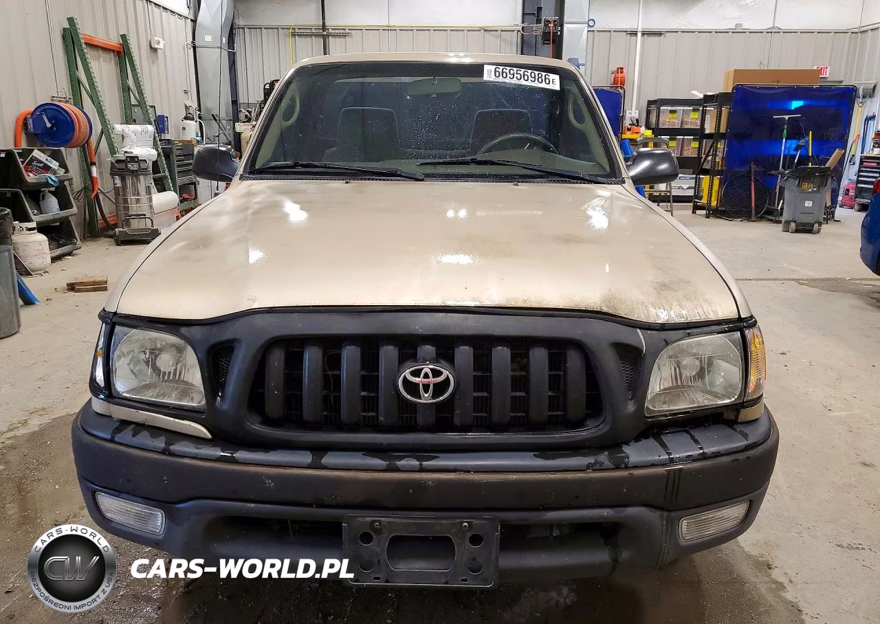 2004 Toyota Tacoma Base VIN:5TENL42NX4Z396568 - 5