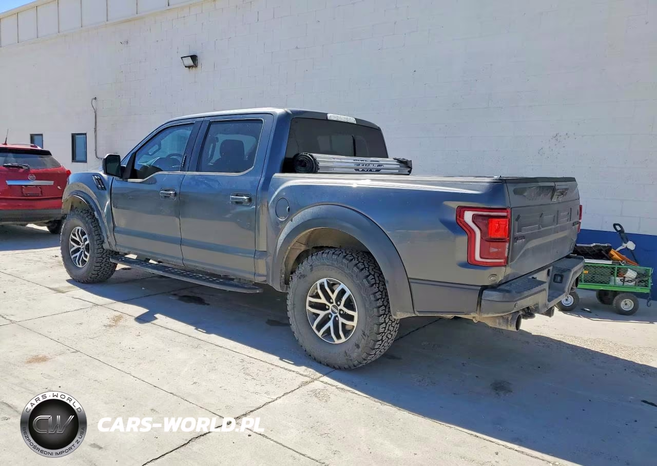 2018 Ford F150 Raptor VIN:1FTFW1RG6JFD49984 - 2