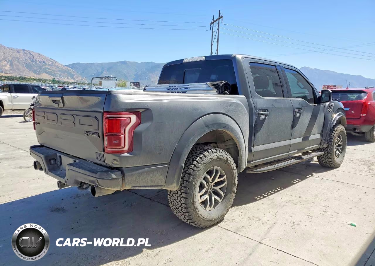 2018 Ford F150 Raptor VIN:1FTFW1RG6JFD49984 - 3