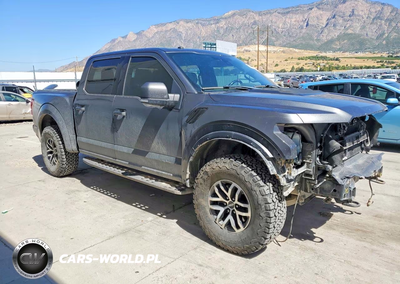 2018 Ford F150 Raptor VIN:1FTFW1RG6JFD49984 - 4