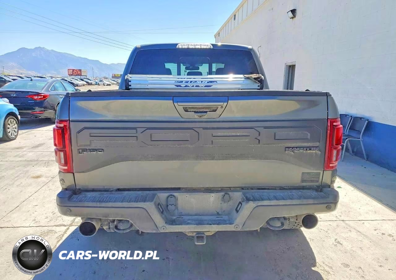 2018 Ford F150 Raptor VIN:1FTFW1RG6JFD49984 - 6