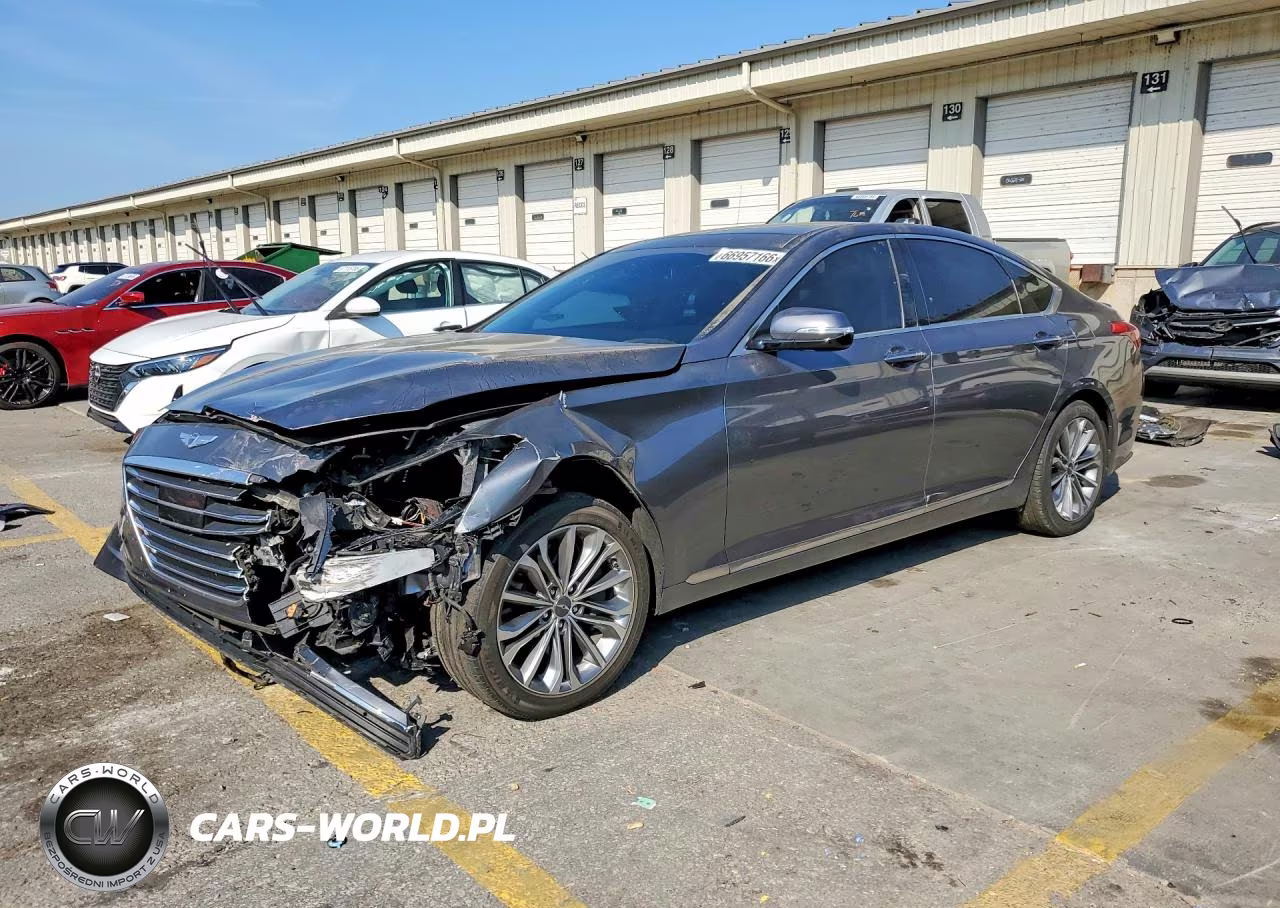 2016 Hyundai Genesis 3.8L VIN:KMHGN4JEXGU126205 - 1