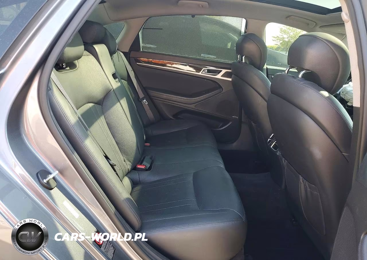 2016 Hyundai Genesis 3.8L VIN:KMHGN4JEXGU126205 - 10