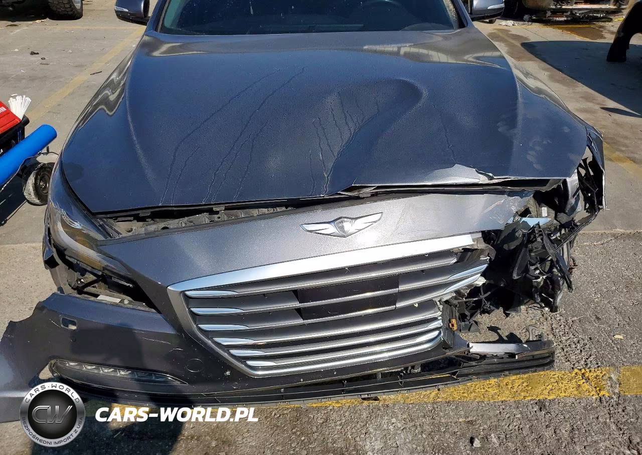 2016 Hyundai Genesis 3.8L VIN:KMHGN4JEXGU126205 - 11