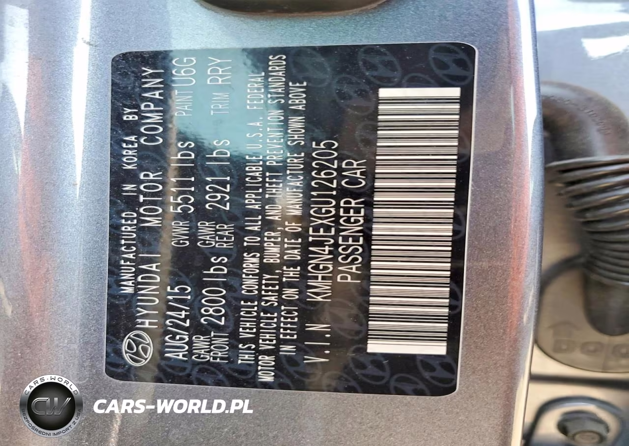 2016 Hyundai Genesis 3.8L VIN:KMHGN4JEXGU126205 - 13