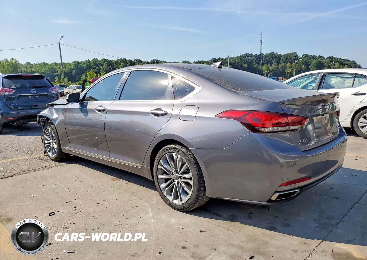 2016 Hyundai Genesis 3.8L VIN:KMHGN4JEXGU126205 - 2