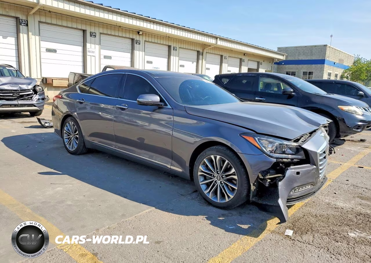 2016 Hyundai Genesis 3.8L VIN:KMHGN4JEXGU126205 - 4