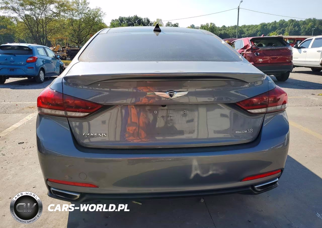 2016 Hyundai Genesis 3.8L VIN:KMHGN4JEXGU126205 - 6