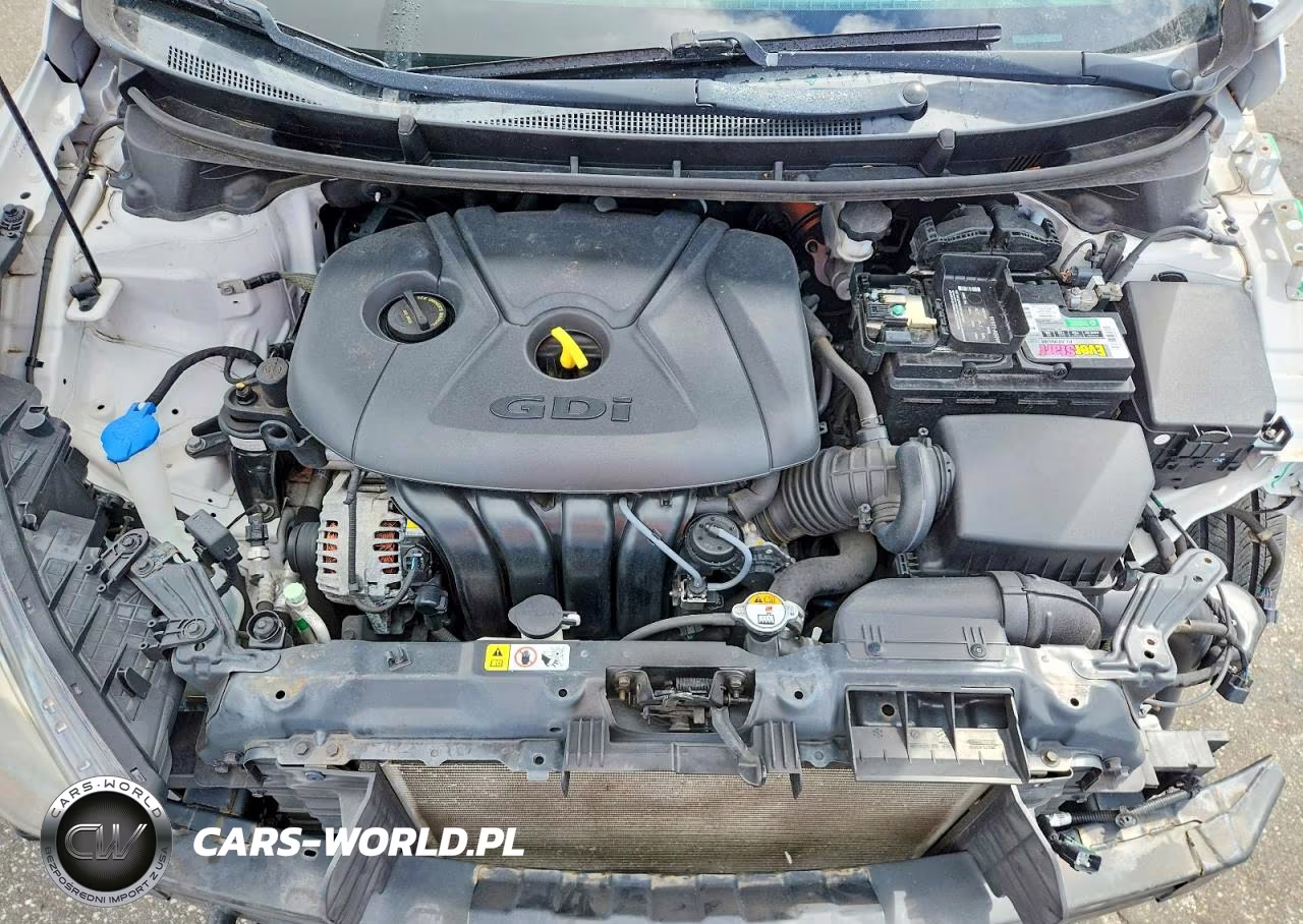 2016 Hyundai Elantra Gt Base VIN:KMHD35LH8GU316087 - 11