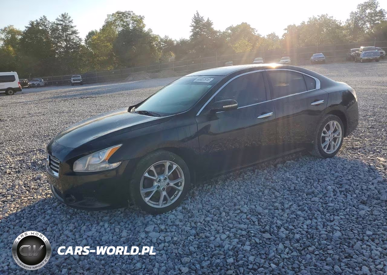 2013 Nissan Maxima 3.5 Sv VIN:1N4AA5AP1DC838347 - 1