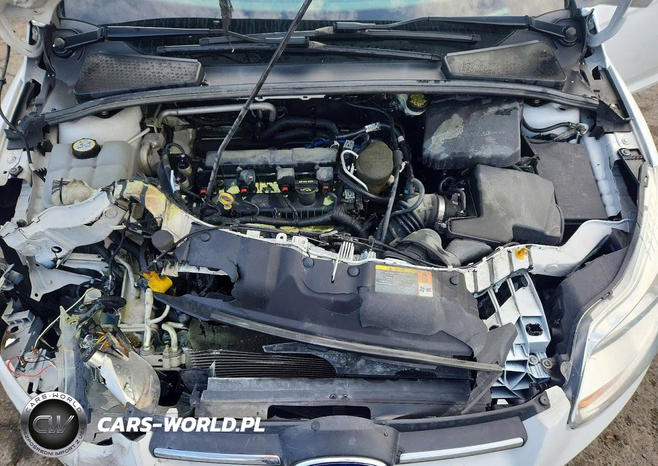 2014 Ford Focus Se VIN:1FADP3F28EL211790 - 11