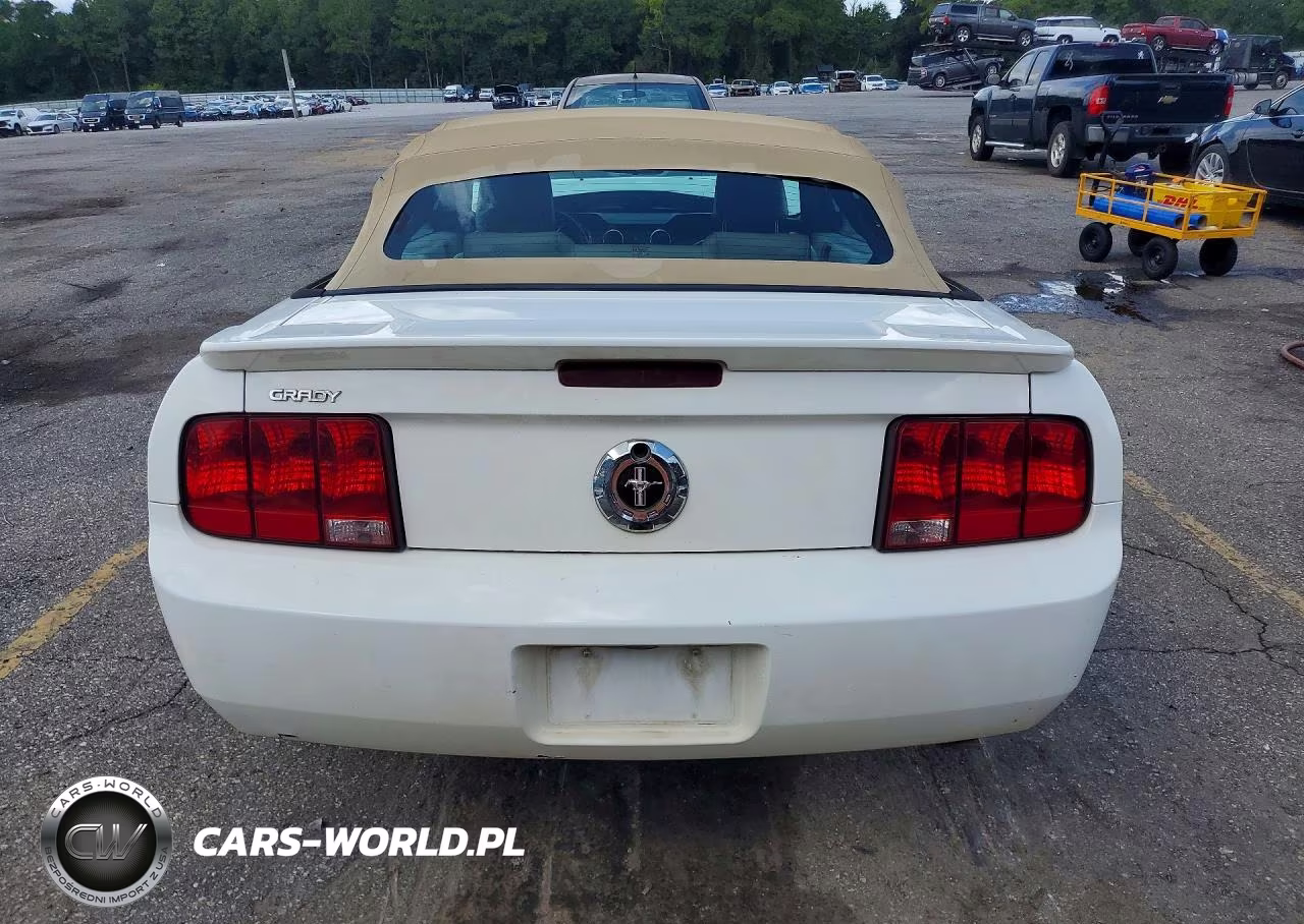 2007 Ford Mustang VIN:1ZVFT84N675312677 - 6