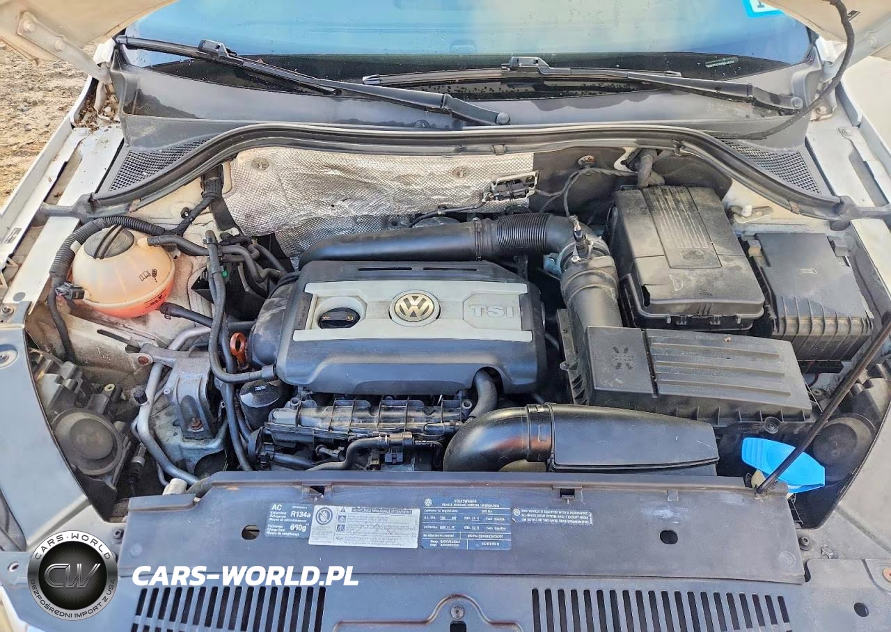 2011 Volkswagen Tiguan S VIN:WVGBV7AX4BW514136 - 12
