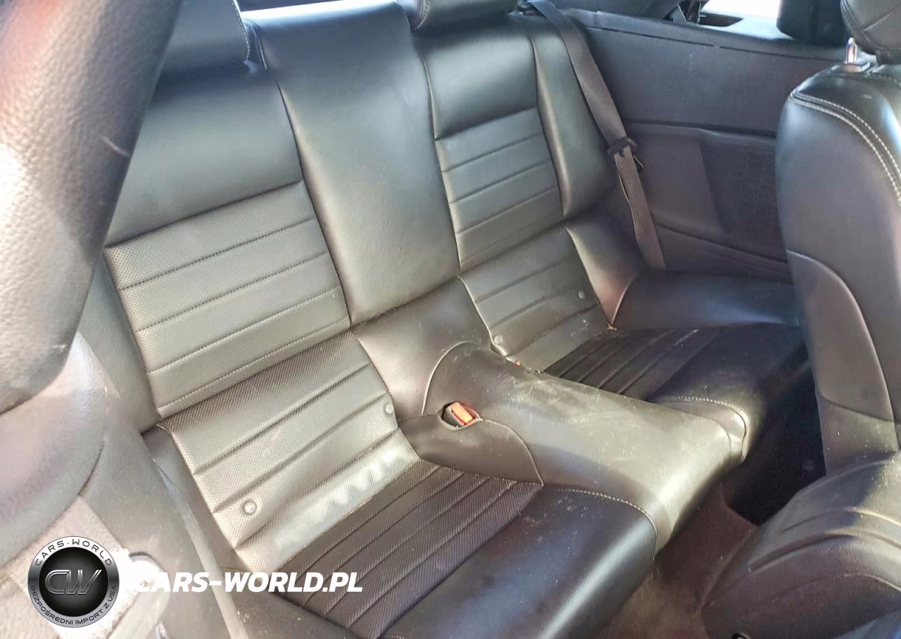 2014 Ford Mustang VIN:1ZVBP8EM3E5302596 - 10