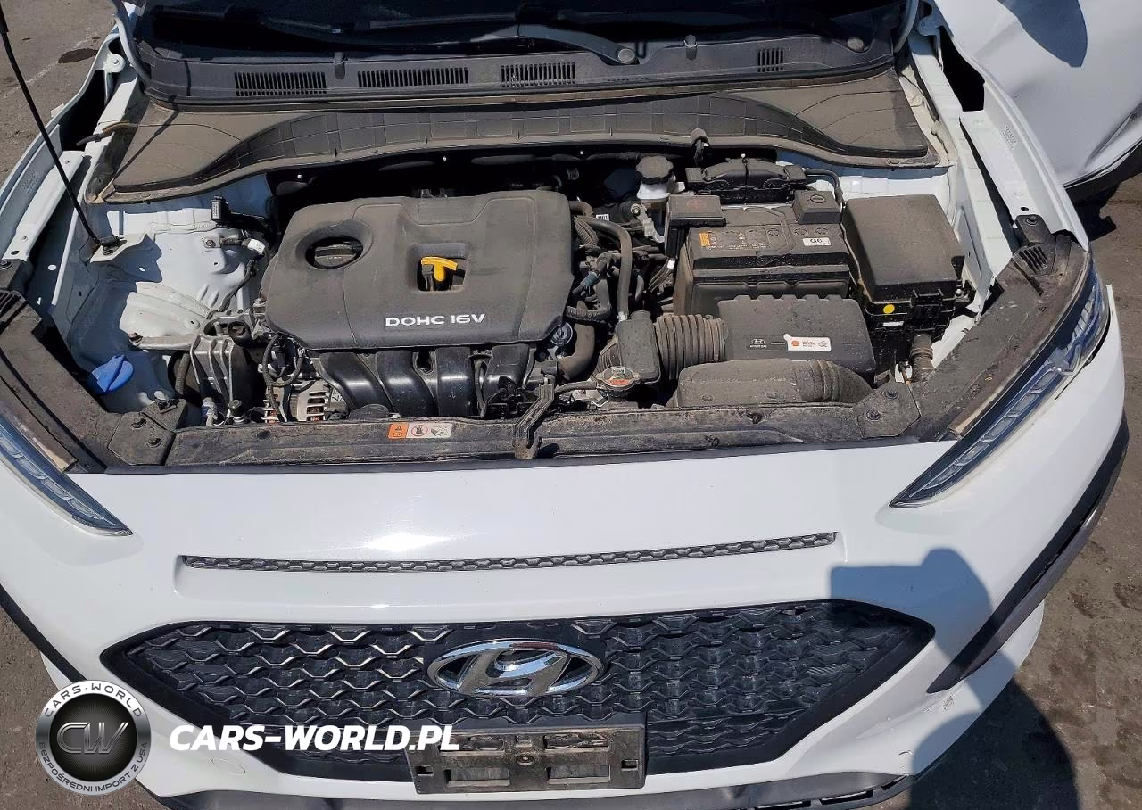 2019 Hyundai Kona Sel VIN:KM8K22AA9KU392764 - 12