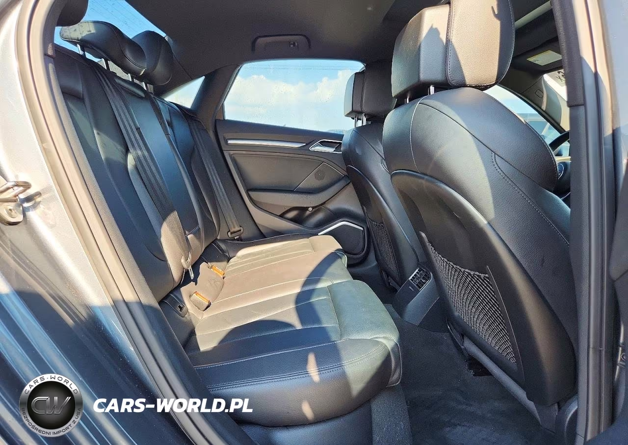 2017 Audi A3 Premium Plus VIN:WAUJ8GFF4H1011149 - 10