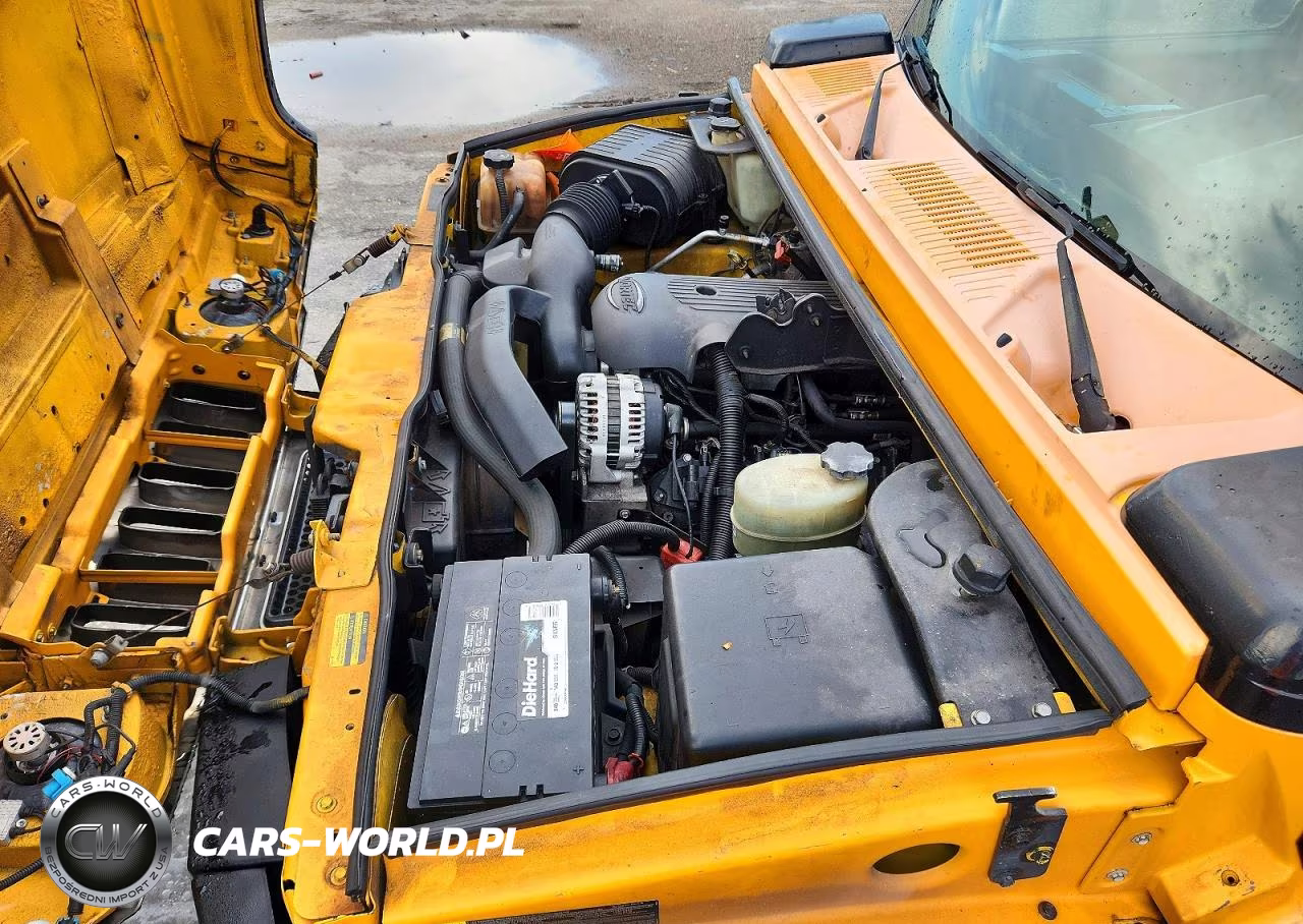2003 Hummer H2 VIN:5GRGN23U03H136966 - 11