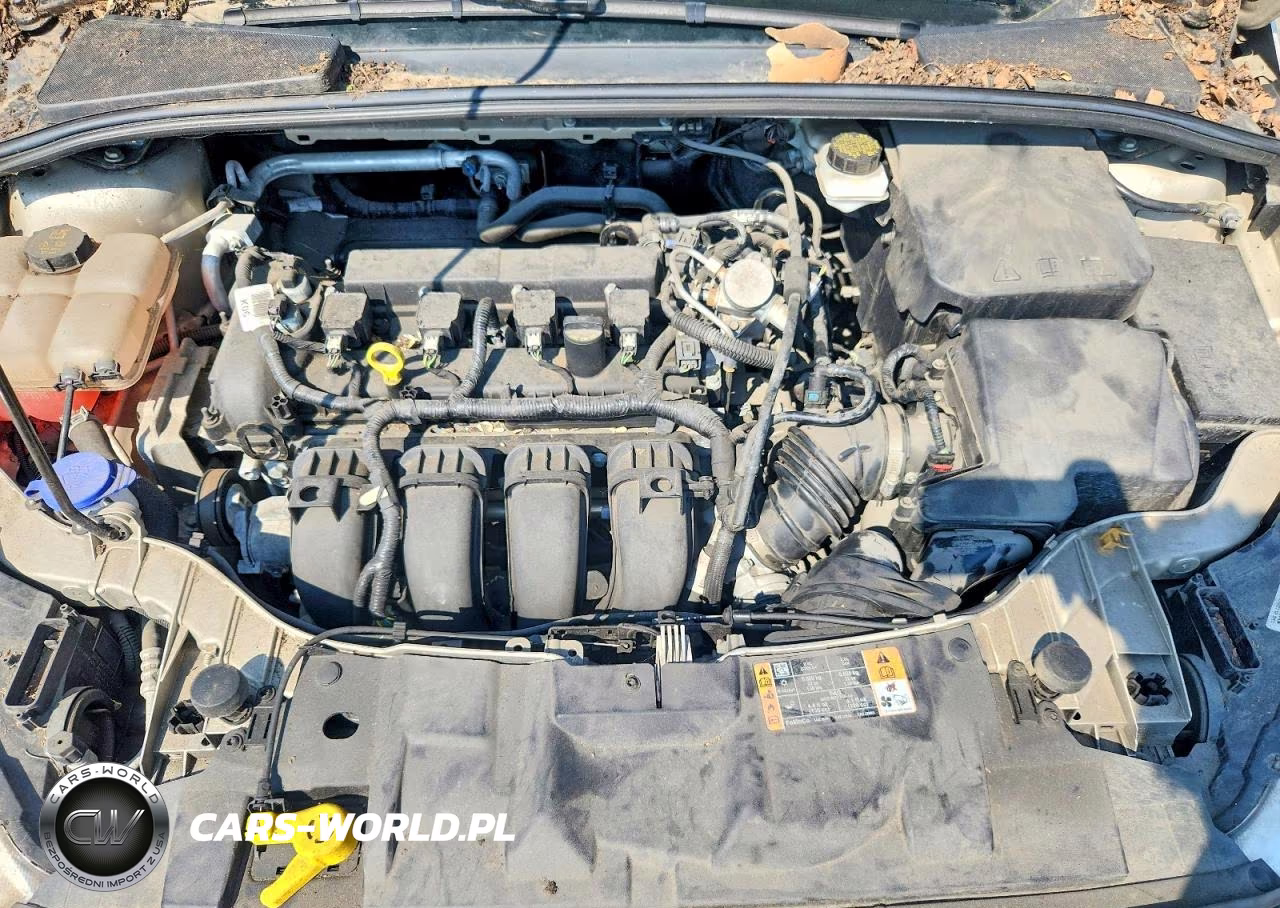 2017 Ford Focus Se VIN:1FADP3F2XHL331952 - 11