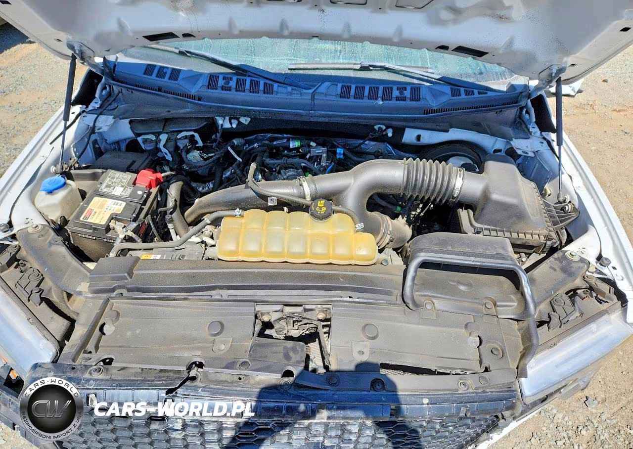 2019 Ford F150 Supercrew VIN:1FTEW1CP4KKE80781 - 11