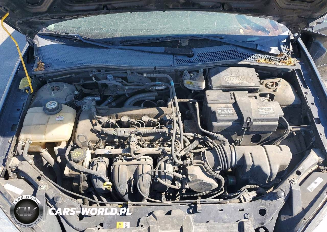 2006 Ford Focus VIN:1FAFP37N36W242947 - 11