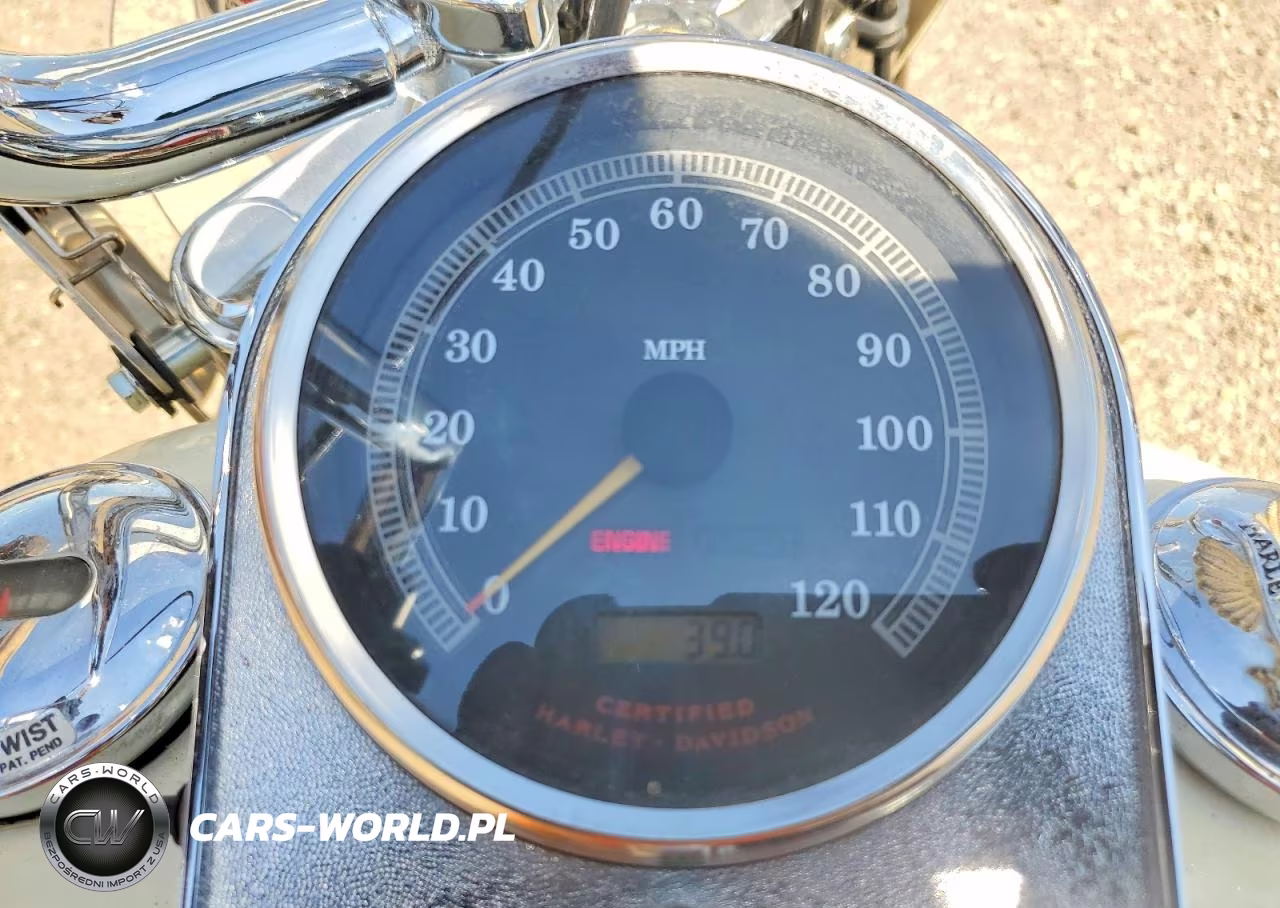 2000 Harley-Davidson Flstf VIN:1HD1BMY17YY063479 - 7