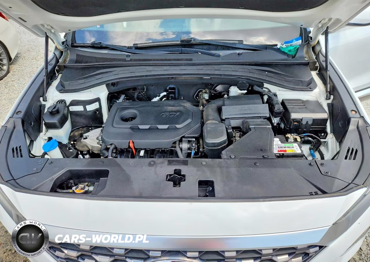 2019 Hyundai Santa Fe Sel 2.4L VIN:5NMS33AD8KH095283 - 12
