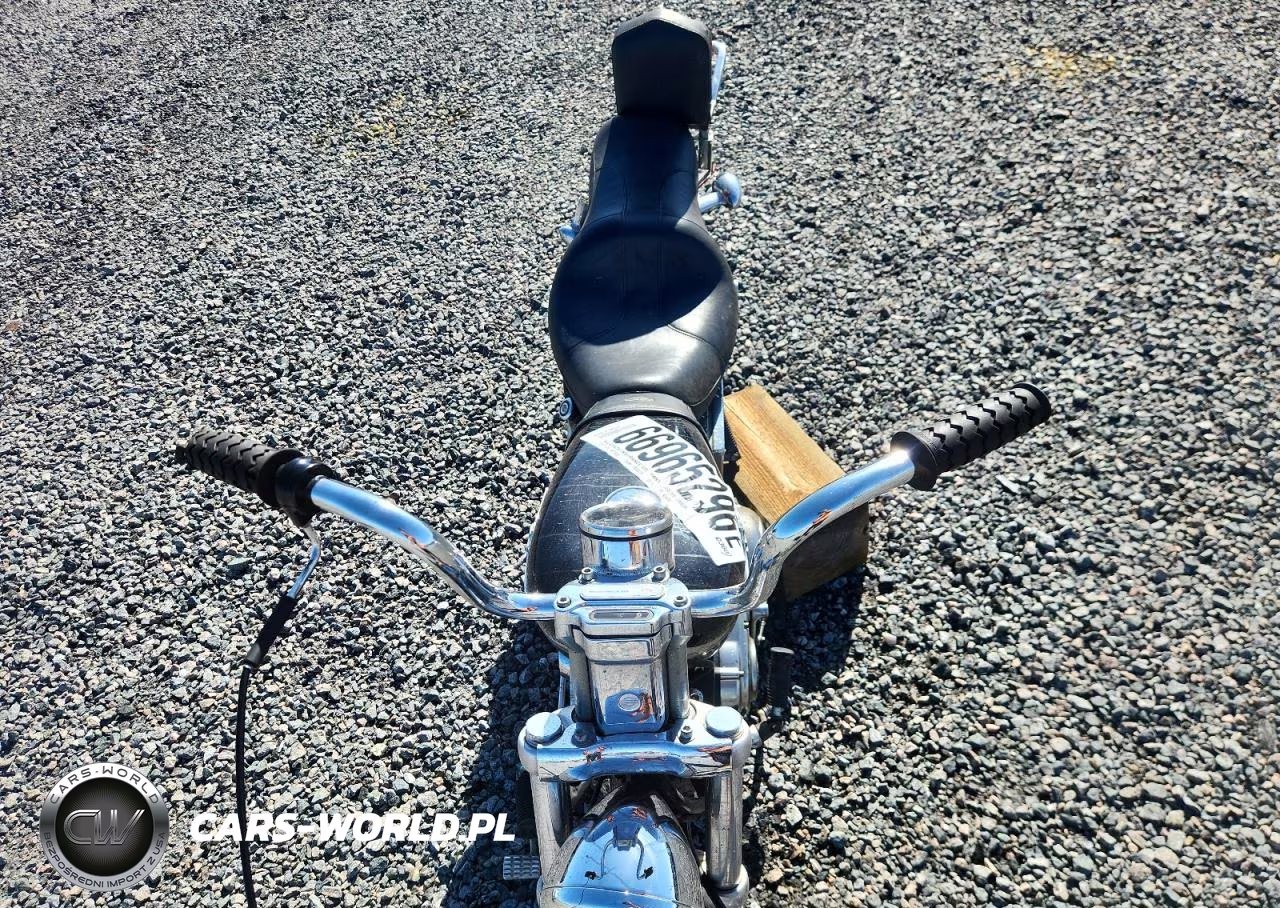 2003 Harley-Davidson Xl1200 C VIN:1HD1CGP193K404926 - 5