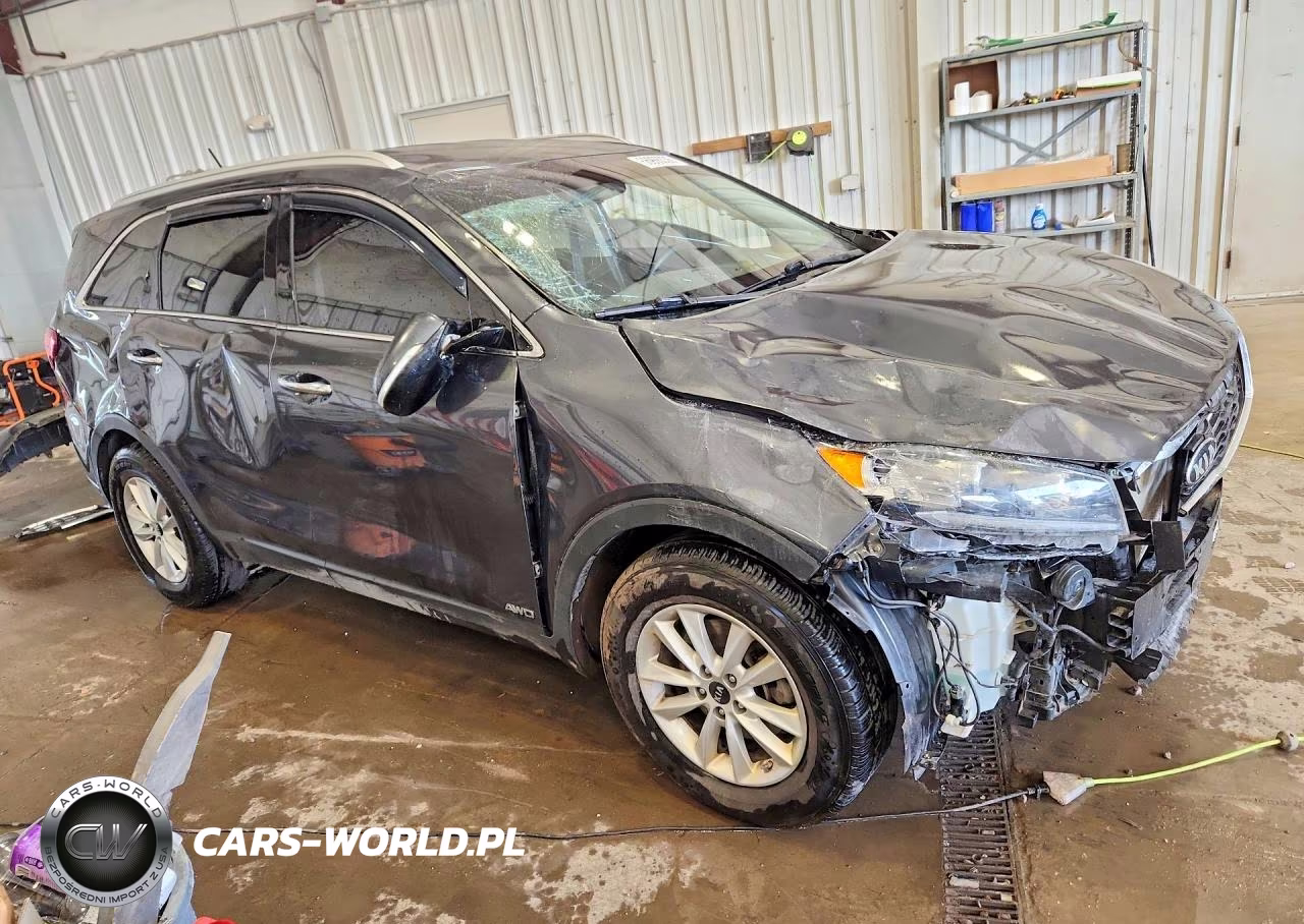 2020 Kia Sorento Lx VIN:5XYPGDA30LG702439 - 4