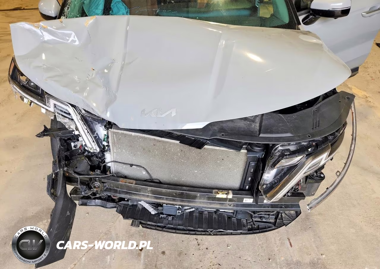 2024 Kia Carnival Sx Prestige VIN:KNDNE5H30R6332209 - 12