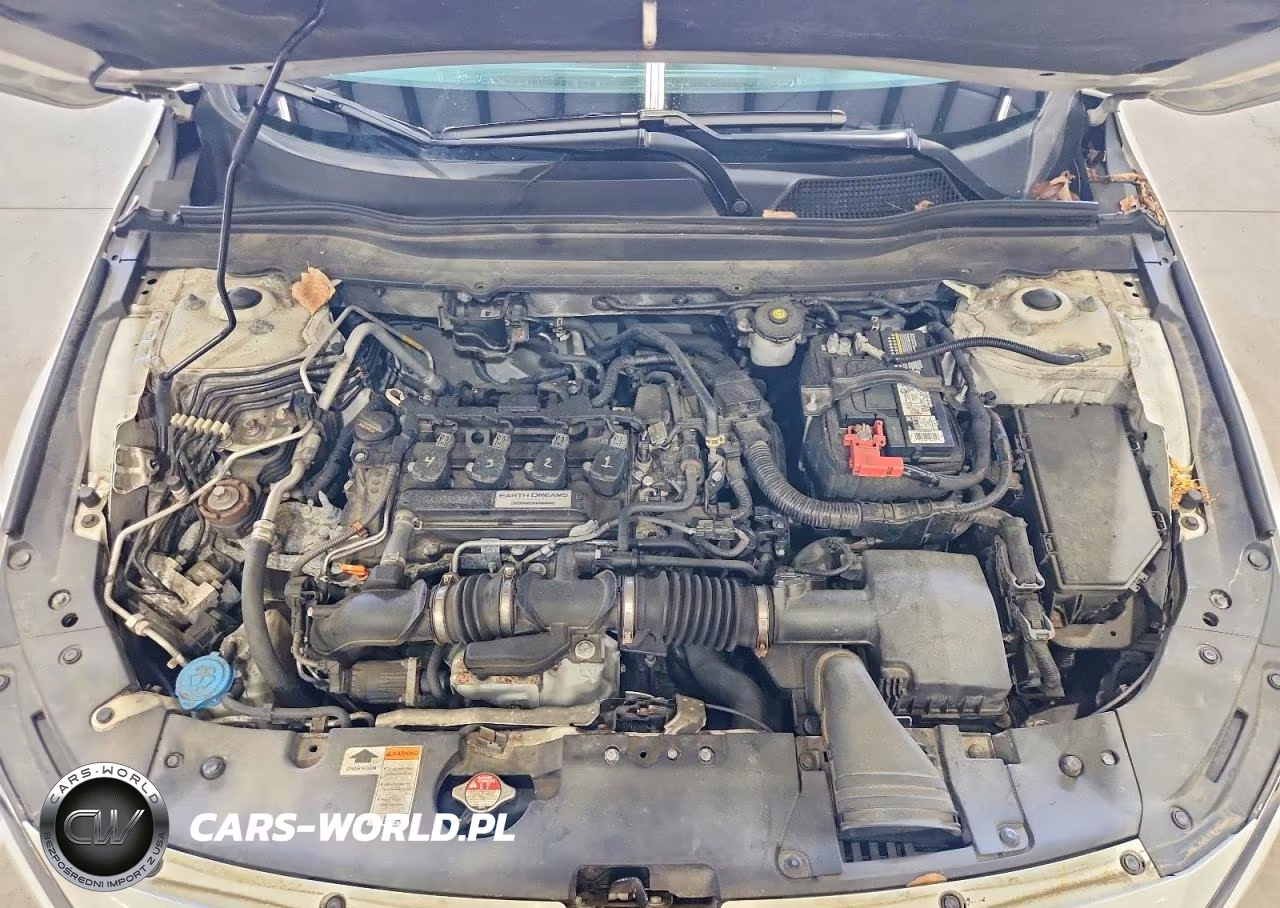 2019 Honda Accord Ex VIN:1HGCV1F48KA162231 - 11