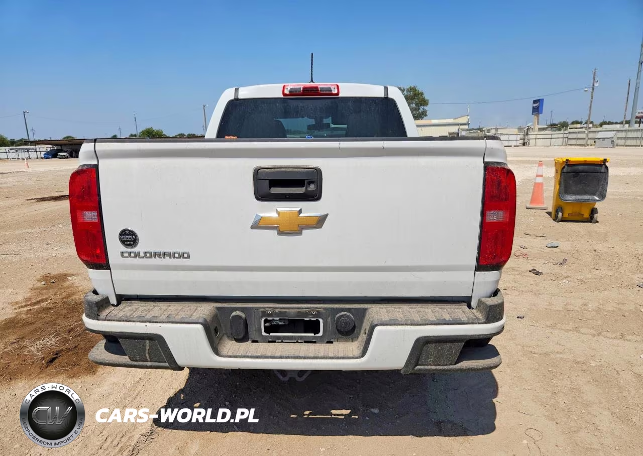 2019 Chevrolet Colorado VIN:1GCGSBEA0K1313780 - 6