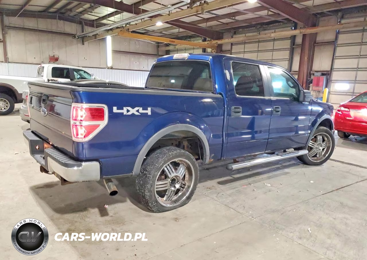 2009 Ford F150 Supercrew VIN:1FTRW14879FA05475 - 3