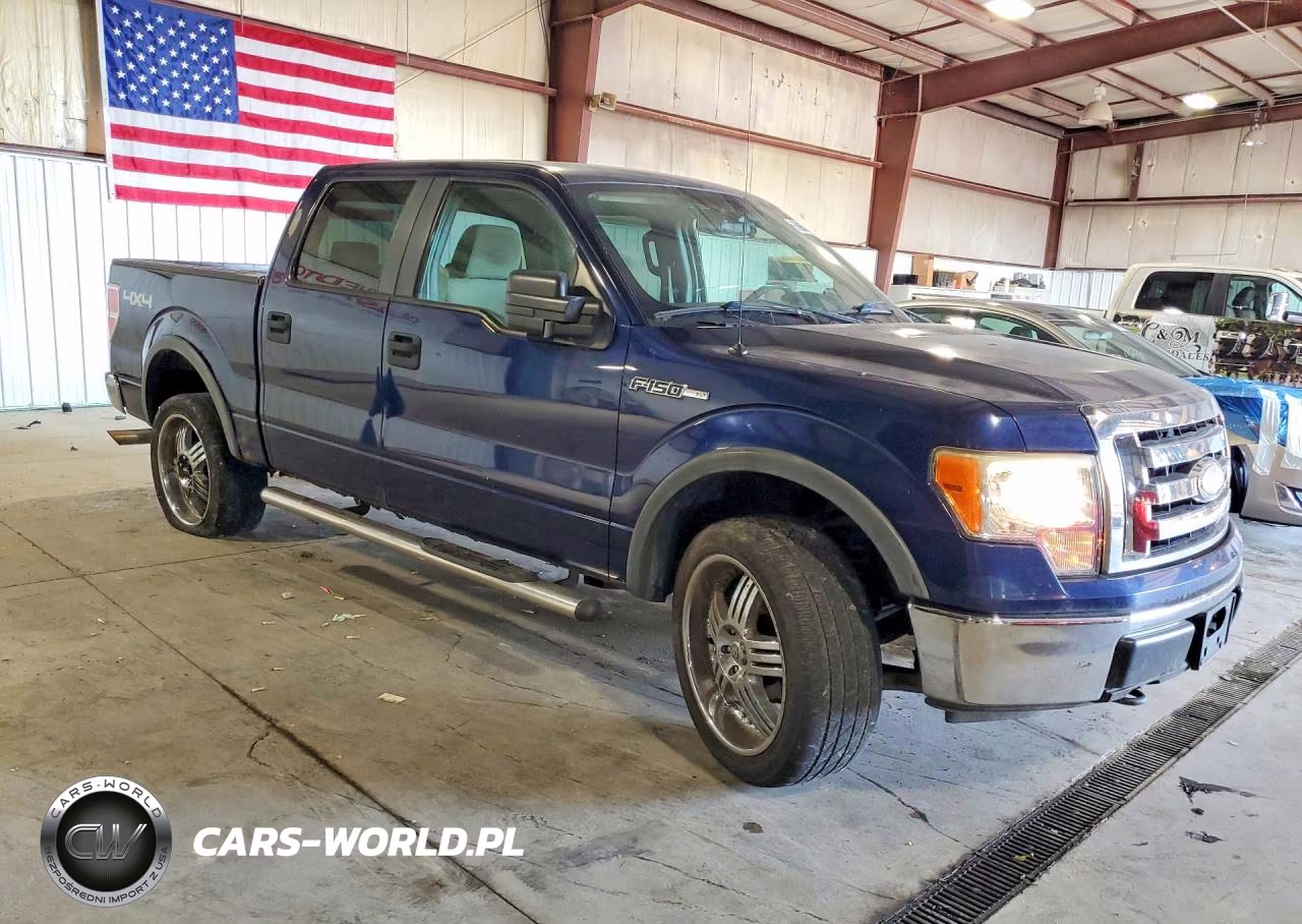 2009 Ford F150 Supercrew VIN:1FTRW14879FA05475 - 4