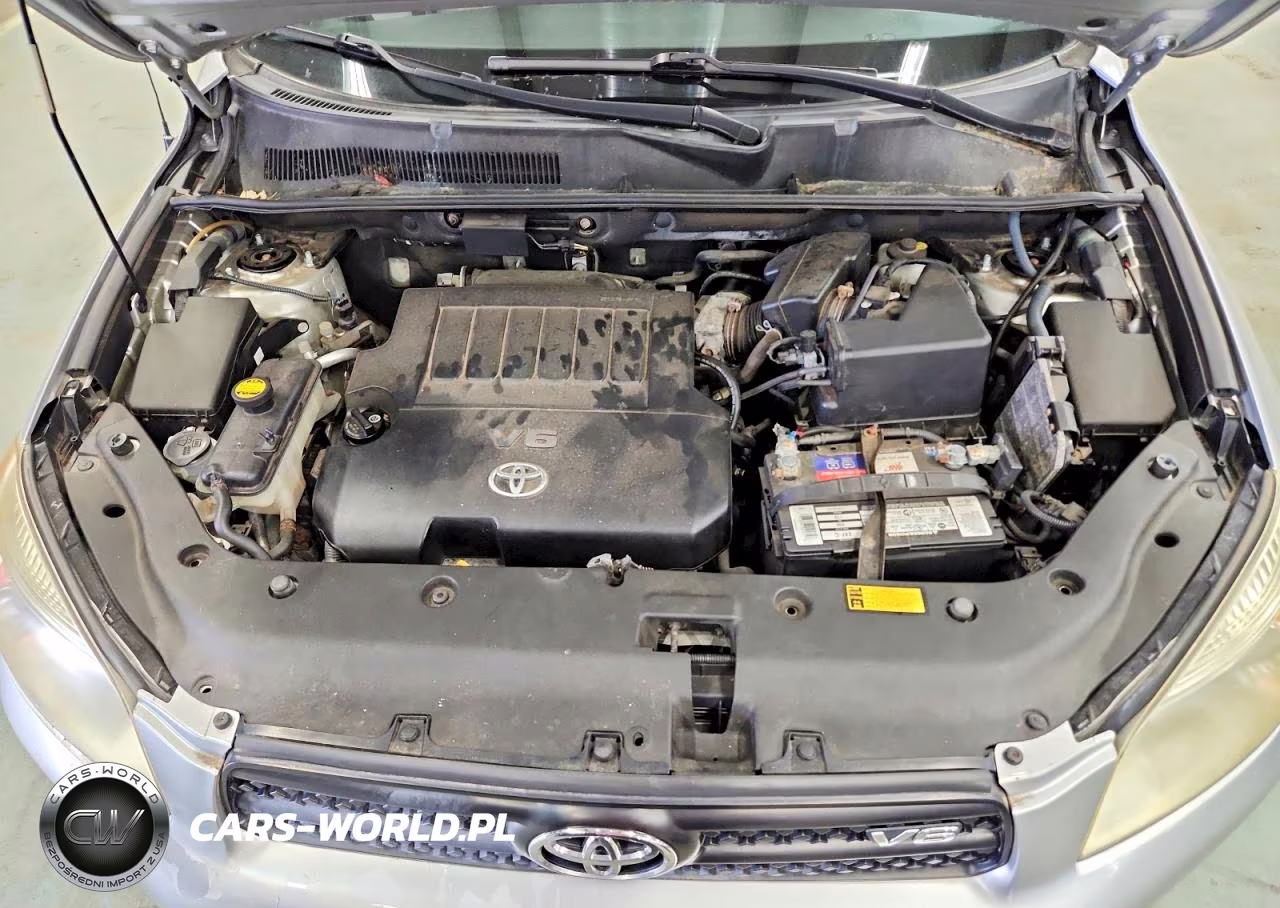 2006 Toyota Rav4 Base VIN:JTMBK33V666005186 - 12
