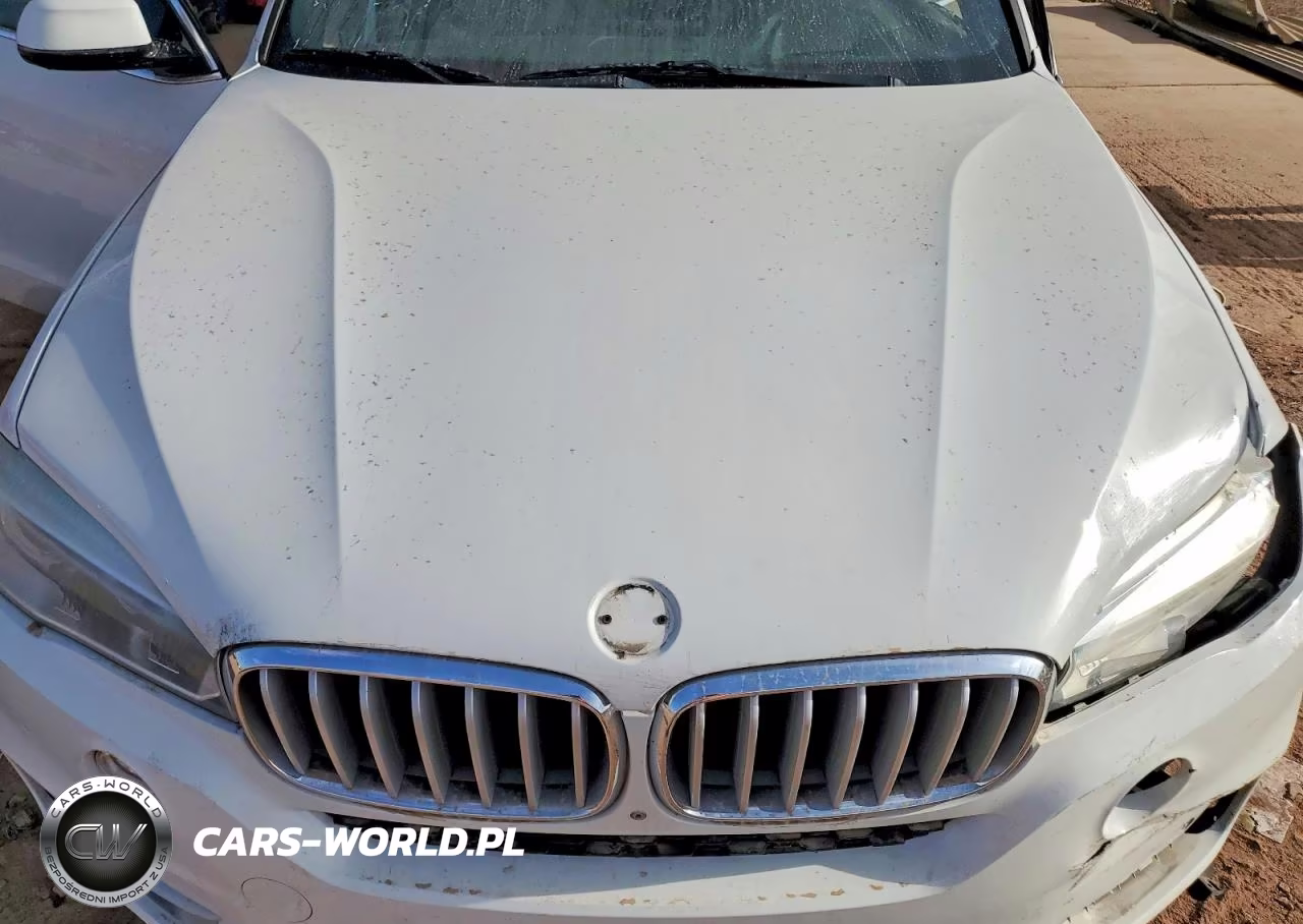 2018 BMW X5 Sdrive35I VIN:5UXKR2C50J0Z18073 - 11