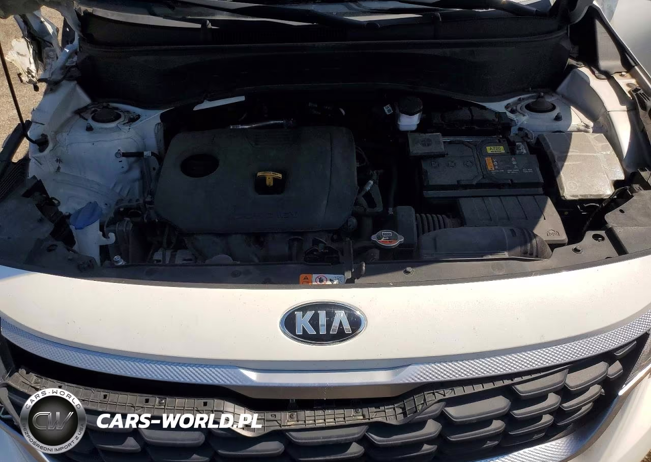 2021 Kia Seltos Lx VIN:KNDEPCAA6M7197179 - 12