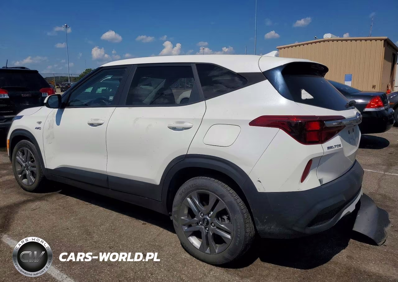 2021 Kia Seltos Lx VIN:KNDEPCAA6M7197179 - 2
