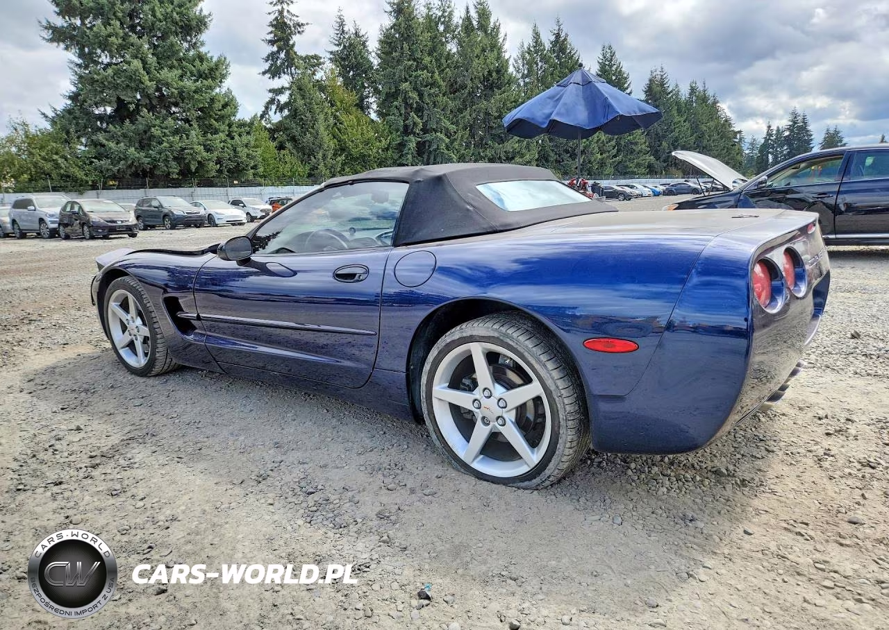 2000 Chevrolet Corvette VIN:1G1YY32G4Y5131706 - 2