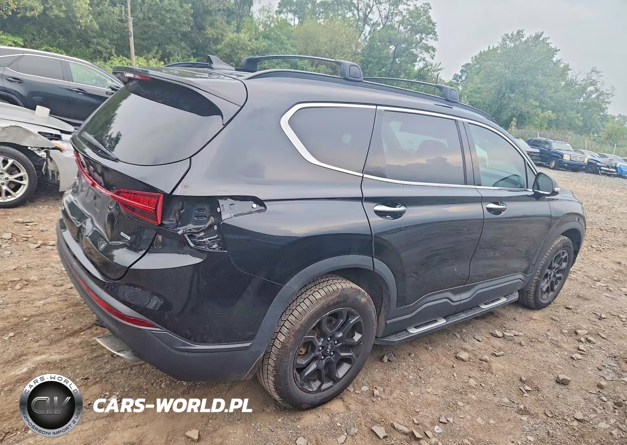 2022 Hyundai Santa Fe Xrt VIN:5NMS6DAJ4NH385088 - 3