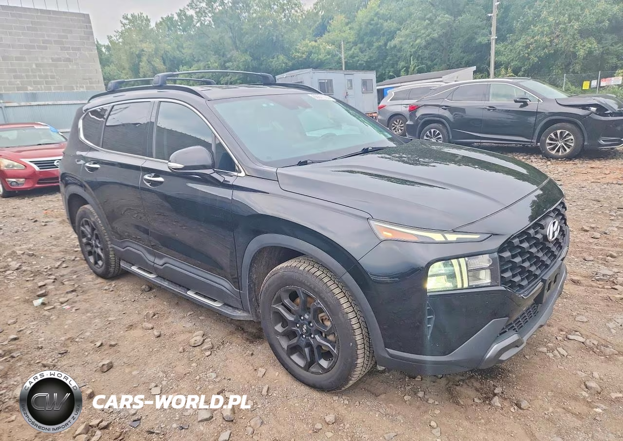 2022 Hyundai Santa Fe Xrt VIN:5NMS6DAJ4NH385088 - 4