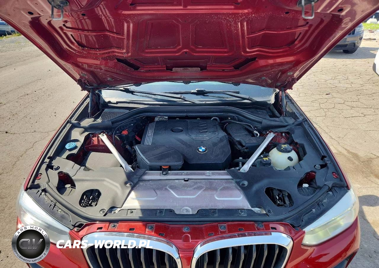 2020 BMW X4 xDrive30I VIN:5UX2V1C07LLE67822 - 12