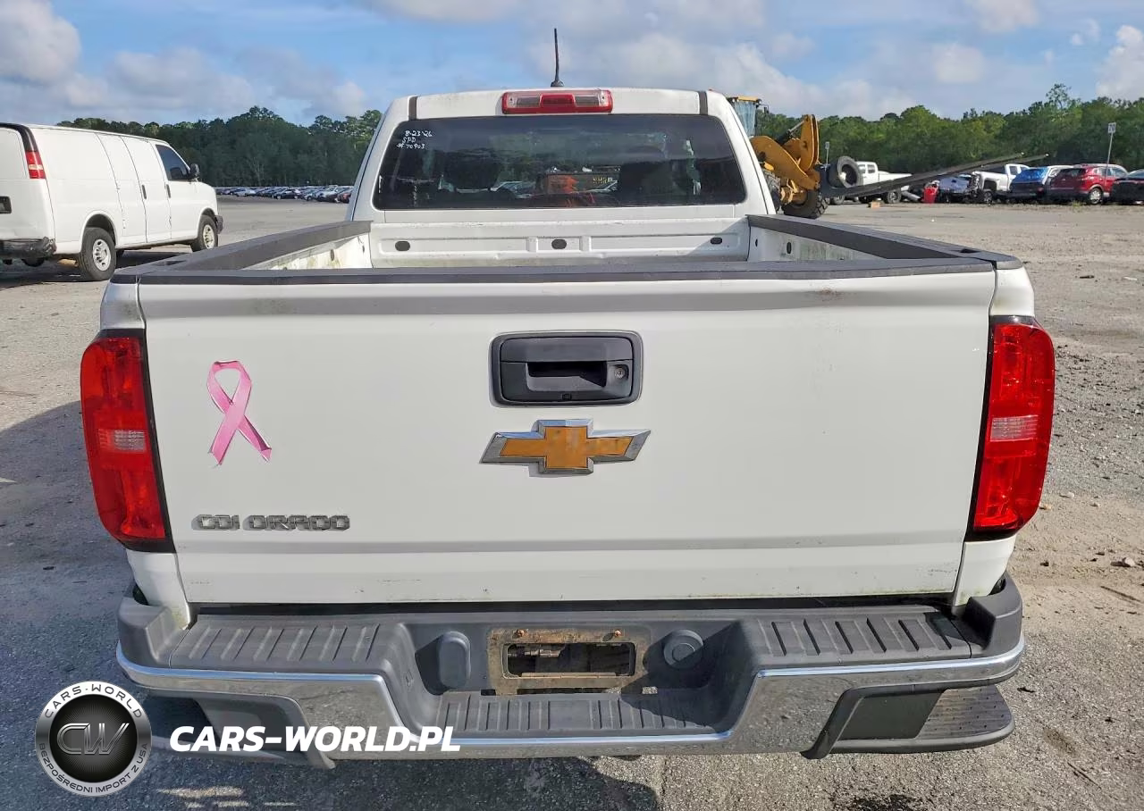 2018 Chevrolet Colorado VIN:1GCHSBEA0J1301535 - 6