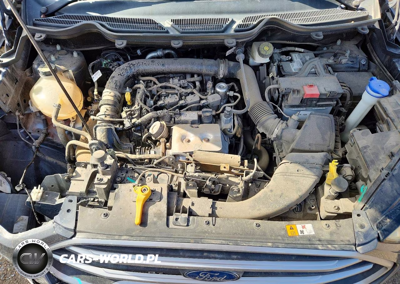 2020 Ford Ecosport Se VIN:MAJ3S2GE4LC382188 - 12